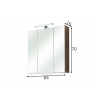 Peegelkapp 943 tume tamm, 65x16xH70 cm, LED
