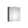 Peegelkapp 945 tumehall, 65x16xH70 cm, LED