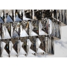 Rippvalgusti CRYSTAL hall / hõbe, 88x29xH127 cm