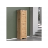 Esikukapp FOLLOW tamm / hall, 62x35xH199 cm