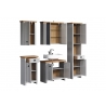 Vannitoakapp LANDSIDE helehall / tamm, 46x33xH191 cm