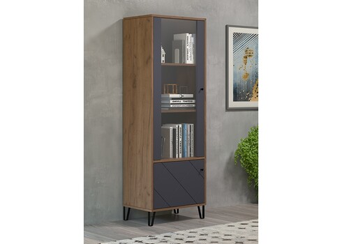 Vitriinkapp MONTEZ tamm / hall, 63x40xH127 cm