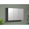 Peegelkapp SYNNAX antratsiit, 120x17xH70 cm