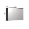 Peegelkapp SYNNAX antratsiit, 120x17xH70 cm