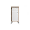 Vannitoakapp TOUCH tamm / valge, 36x29xH79 cm