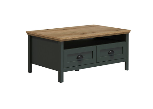 Diivanilaud STANTON roheline / tamm, 101x60xH45 cm