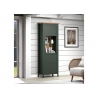 Vitriinkapp STANTON roheline / tamm, 69x39xH198 cm