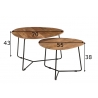 Diivanilaudade komplekt IVY naturaalne puit / must, 2 tk