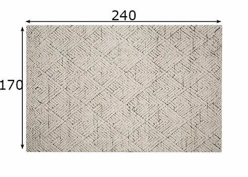 Vaip ELINE beež, 240x170 cm