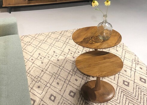 Vaip EDWARD beež, 290x200 cm