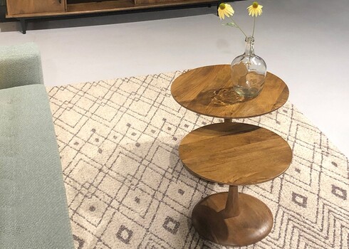 Vaip EDWARD beež, 240x170 cm