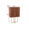 Kapp GATSBY pruun / kuldne, 80x40xH125 cm