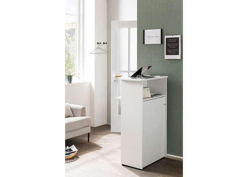 Vastuvõtulaud EMMY mattvalge, 66x44xH110,5 cm