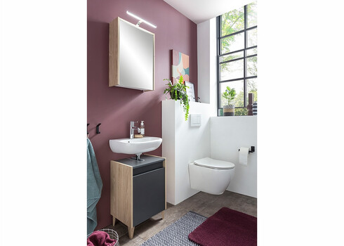Peegelkapp ELBA tamm, 43,5x16xH64 cm