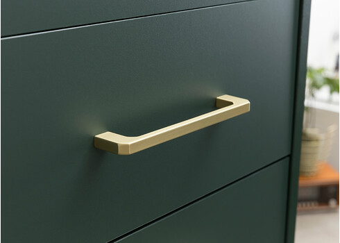 Esikukapp KENT roheline, 67x33xH184 cm