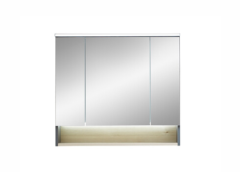 Peegelkapp 25-II hele mänd, 80x21xH72 cm