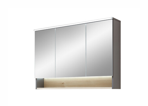 Peegelkapp 25-III hele mänd, 100x21xH72 cm