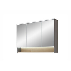 Peegelkapp 25-III hele mänd, 100x21xH72 cm