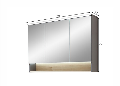 Peegelkapp 25-III hele mänd, 100x21xH72 cm