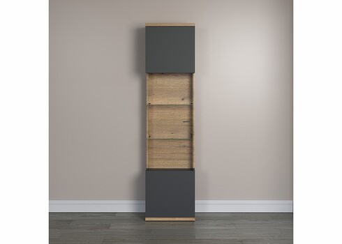 Vitriinkapp NORRIS antratsiit / tamm, 51x38xH205 cm