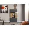 Vitriinkapp NORRIS antratsiit / tamm, 80x38xH147 cm