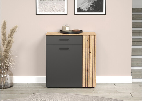 Kummut ESTEBAN antratsiit / tamm, 80x26xH88 cm