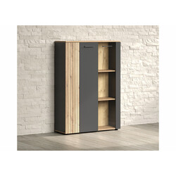 Kummut ESTEBAN antratsiit / tamm, 90x34xH132 cm