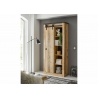 Vannitoakapp SHERWOOD pruun / hall, 51x38xH201 cm