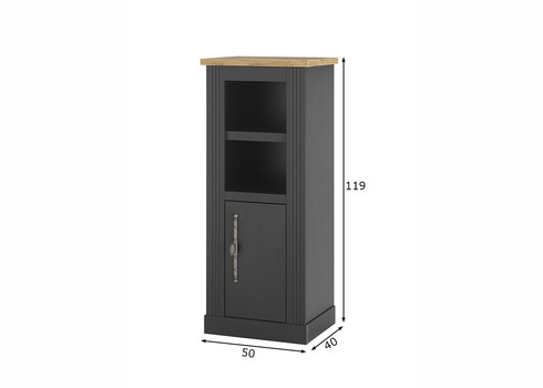 Vannitoakapp WESTMINSTER tumehall / tamm, 50x40xH119 cm