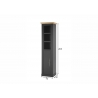 Vannitoakapp WESTMINSTER tumehall / tamm, 50x41xH203 cm