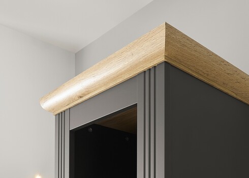 Vannitoakapp WESTMINSTER tumehall / tamm, 50x41xH203 cm