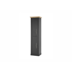 Vannitoakapp WESTMINSTER tumehall / tamm, 50x41xH203 cm