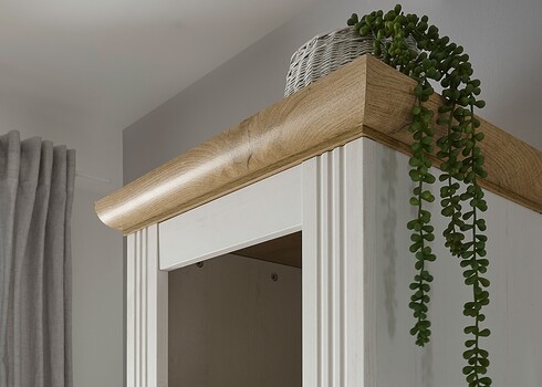 Vannitoakapp WESTMINSTER valge mänd / tamm, 50x41xH203 cm