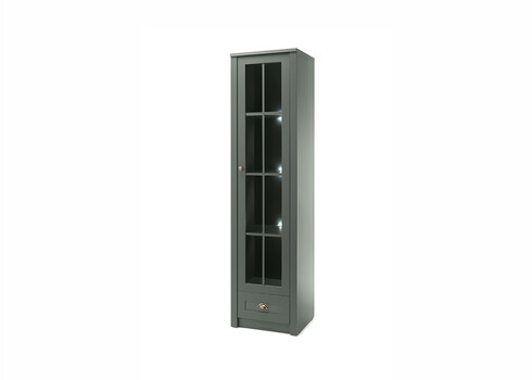 Vitriinkapp ASCOT tumeroheline, 50x43xH197 cm