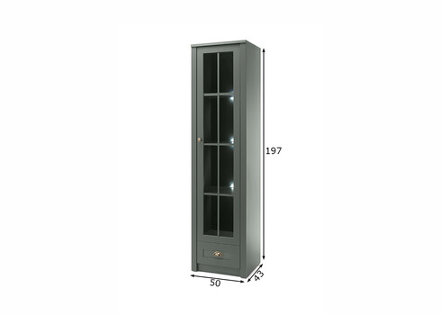 Vitriinkapp ASCOT tumeroheline, 50x43xH197 cm