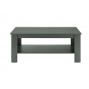 Diivanilaud ASCOT tumeroheline, 120x60xH52 cm