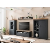 Vitriinkapp CATANIA tamm / antratsiit, 72x38xH146 cm