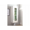 Vitriinkapp CAYMAN valge / tamm, 45x38xH131 cm