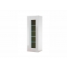 Vitriinkapp CAYMAN valge / tamm, 45x38xH131 cm