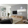 Vitriinkapp CAYMAN valge / tamm, 45x38xH131 cm