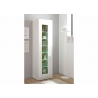 Vitriinkapp CAYMAN valge / tamm, 45x38xH166 cm