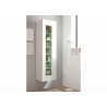 Vitriinkapp CAYMAN valge / tamm, 45x38xH166 cm