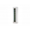 Vitriinkapp CAYMAN valge / tamm, 45x38xH166 cm