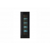 Vitriinkapp CAYMAN must / tamm, 45x38xH131 cm