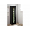 Vitriinkapp CAYMAN must / tamm, 45x38xH166 cm