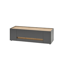 Tv-alus CITY antratsiit / tamm, 140x45xH42 cm