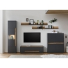 Tv-alus CITY antratsiit / tamm, 140x45xH42 cm
