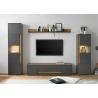 Tv-alus CITY antratsiit / tamm, 170x45xH42 cm