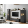 Tv-alus CITY antratsiit / tamm, 170x45xH42 cm