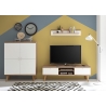 Tv-alus LENA valge / tamm, 160x40xH50 cm